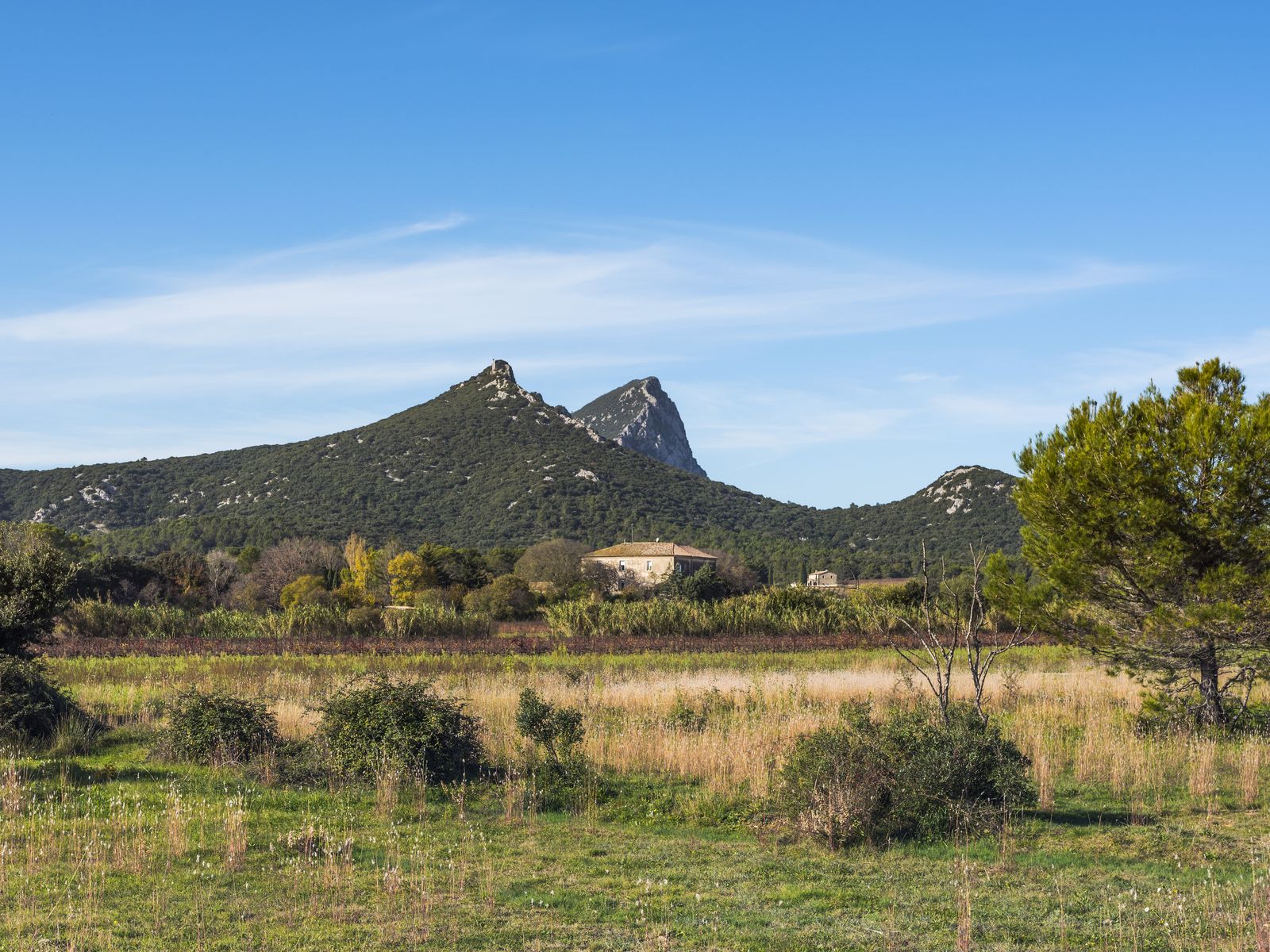Le Pic Saint-Loup et la garrigue, dans l'Hérault